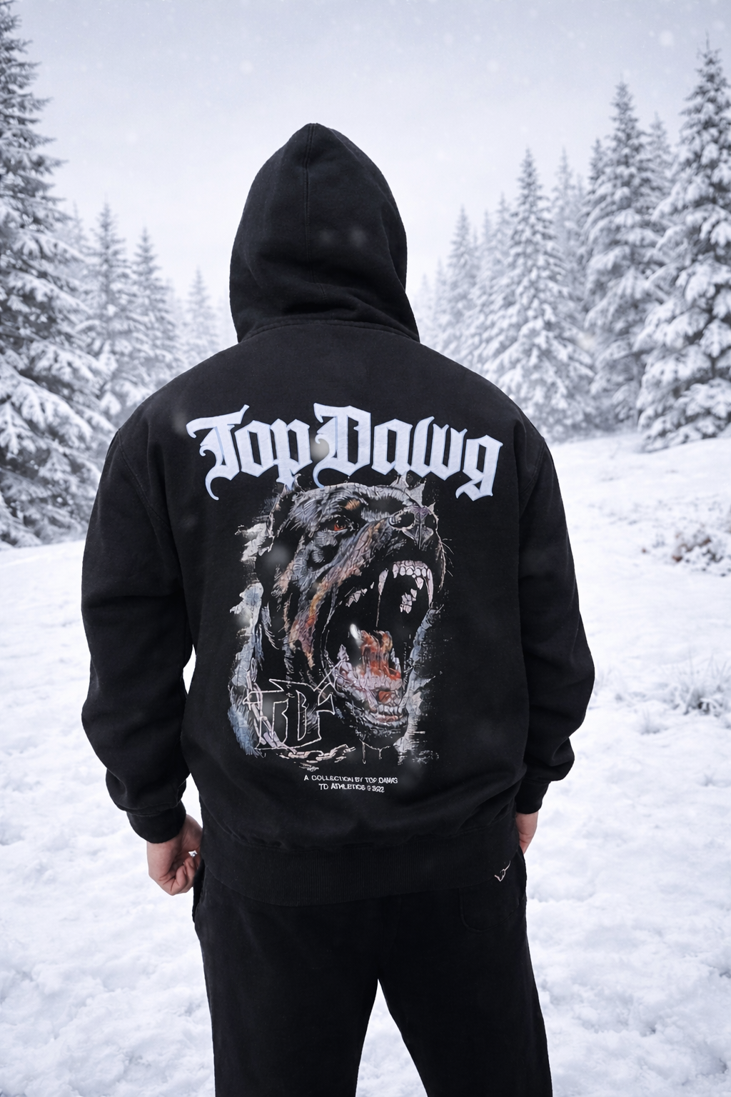 TD Athletics Sweater